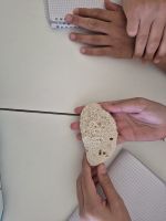IMG-20260604-WA0009